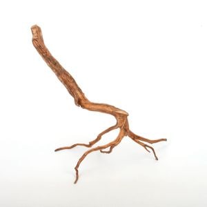 スマトラウッド [ 厳選流木 ]