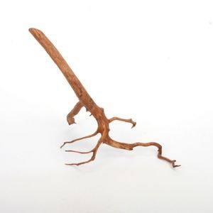 UWS Material Market / Sumatra Wood ROOTS���� ���ޥȥ饦�åɡ��롼�� / ����ή�� �� �� SR2508-13 ��