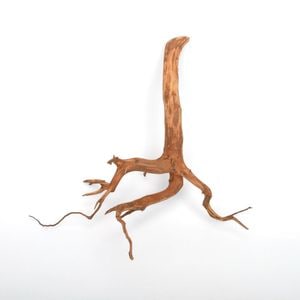 UWS Material Market / Sumatra Wood ROOTS���� ���ޥȥ饦�åɡ��롼�� / ����ή�� �� �� SR2508-15 ��