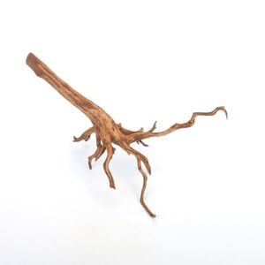 UWS Material Market / Sumatra Wood ROOTS���� ���ޥȥ饦�åɡ��롼�� / ����ή�� �� �� SR2508-16 ��