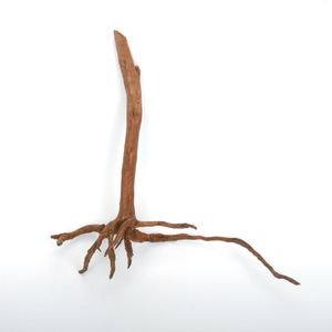 UWS Material Market / Sumatra Wood ROOTS���� ���ޥȥ饦�åɡ��롼�� / ����ή�� �� �� SR2508-17 ��