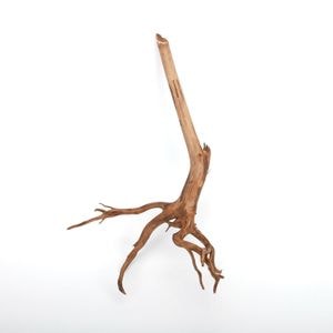 UWS Material Market / Sumatra Wood ROOTS���� ���ޥȥ饦�åɡ��롼�� / ����ή�� �� �� SR2508-18 ��