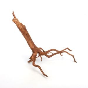 UWS Material Market / Sumatra Wood ROOTS���� ���ޥȥ饦�åɡ��롼�� / ����ή�� �� �� SR2508-20 ��