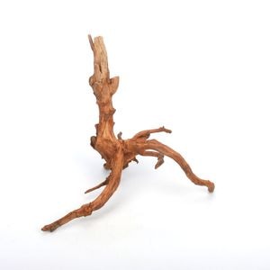 UWS Material Market / Sumatra Wood ROOTS���� ���ޥȥ饦�åɡ��롼�� / ����ή�� �� �� SR2508-21 ��