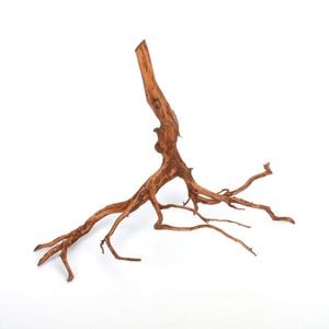 UWS Material Market / Sumatra Wood ROOTS���� ���ޥȥ饦�åɡ��롼�� / ����ή�� �� �� SR2508-22 ��