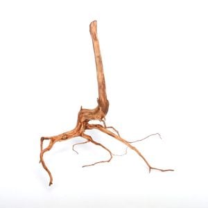 UWS Material Market / Sumatra Wood ROOTS���� ���ޥȥ饦�åɡ��롼�� / ����ή�� �� �� SR2508-24 ��