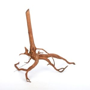 UWS Material Market / Sumatra Wood ROOTS���� ���ޥȥ饦�åɡ��롼�� / ����ή�� �� �� SR2508-26 ��