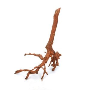 厳選流木素材 スマトラウッド [ 厳選流木 ]