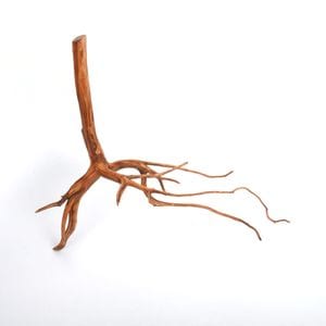 UWS Material Market / Sumatra Wood ROOTS���� ���ޥȥ饦�åɡ��롼�� / ����ή�� �� �� SR2508-29 ��