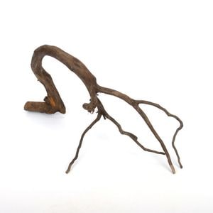 Drift Wood / ɥեȥåɡ ֥å / S / NB2508-01  [ ѥꥦࡢꥦΥ쥤Ȥ˺Ŭή ]