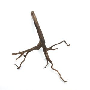 Drift Wood / ɥեȥåɡ ֥å / S / NB2508-04  [ ѥꥦࡢꥦΥ쥤Ȥ˺Ŭή ]