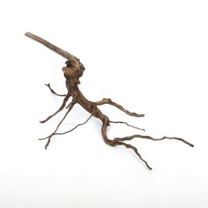 Drift Wood / ɥեȥåɡ ֥å / S / NB2508-06  [ ѥꥦࡢꥦΥ쥤Ȥ˺Ŭή ]