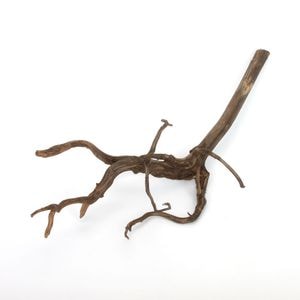 Drift Wood / ɥեȥåɡ ֥å / S / NB2508-07  [ ѥꥦࡢꥦΥ쥤Ȥ˺Ŭή ]