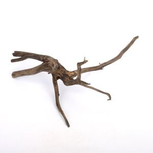 Drift Wood / ɥեȥåɡ ֥å / S / NB2508-08  [ ѥꥦࡢꥦΥ쥤Ȥ˺Ŭή ]