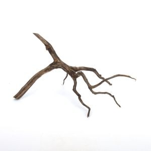 Drift Wood / ɥեȥåɡ ֥å / S / NB2508-10  [ ѥꥦࡢꥦΥ쥤Ȥ˺Ŭή ]