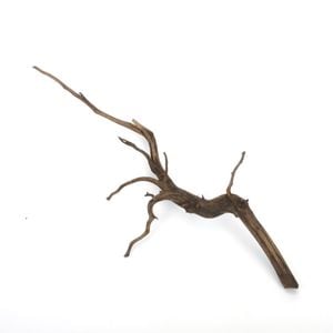 Drift Wood / ɥեȥåɡ ֥å / S / NB2508-13  [ ѥꥦࡢꥦΥ쥤Ȥ˺Ŭή ]