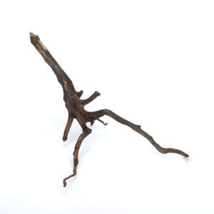 Drift Wood / ɥեȥåɡ ֥å / S / NB2508-16  [ ѥꥦࡢꥦΥ쥤Ȥ˺Ŭή ]