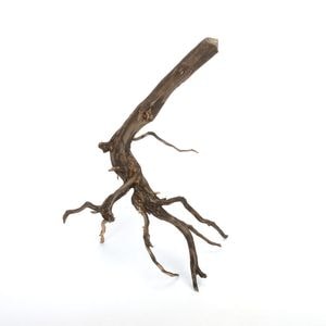 Drift Wood / ɥեȥåɡ ֥å / S / NB2508-18  [ ѥꥦࡢꥦΥ쥤Ȥ˺Ŭή ]