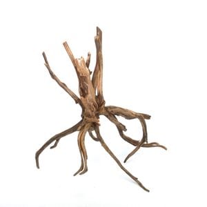 Drift Wood / ɥեȥåɡ ֥å / S / NB2508-20  [ ѥꥦࡢꥦΥ쥤Ȥ˺Ŭή ]