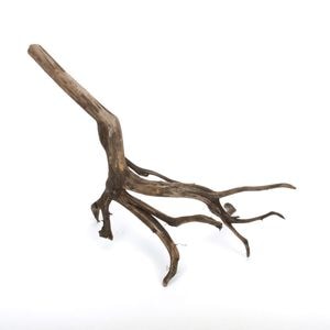 Drift Wood / ɥեȥåɡ ֥å / S / NB2508-21  [ ѥꥦࡢꥦΥ쥤Ȥ˺Ŭή ]