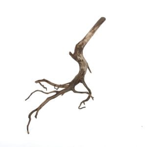 Drift Wood / ɥեȥåɡ ֥å / S / NB2508-22  [ ѥꥦࡢꥦΥ쥤Ȥ˺Ŭή ]