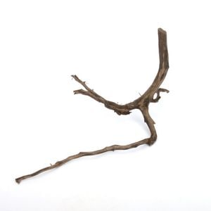 Drift Wood / ɥեȥåɡ ֥å / S / NB2508-24  [ ѥꥦࡢꥦΥ쥤Ȥ˺Ŭή ]