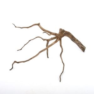 Drift Wood / ɥեȥåɡ ֥å / S / NB2508-26  [ ѥꥦࡢꥦΥ쥤Ȥ˺Ŭή ]