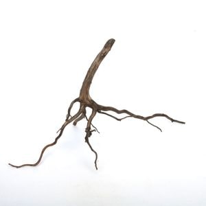 Drift Wood / ɥեȥåɡ ֥å / S / NB2508-28  [ ѥꥦࡢꥦΥ쥤Ȥ˺Ŭή ]