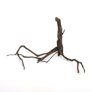 Drift Wood / ɥեȥåɡ ֥å / S / NB2508-29  [ ѥꥦࡢꥦΥ쥤Ȥ˺Ŭή ]