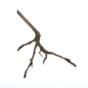 Drift Wood / ɥեȥåɡ ֥å / S / NB2508-31  [ ѥꥦࡢꥦΥ쥤Ȥ˺Ŭή ]