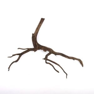 Drift Wood / ɥեȥåɡ ֥å / S / NB2508-32  [ ѥꥦࡢꥦΥ쥤Ȥ˺Ŭή ]