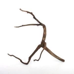 Drift Wood / ɥեȥåɡ ֥å / S / NB2508-33  [ ѥꥦࡢꥦΥ쥤Ȥ˺Ŭή ]