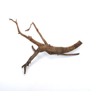 Drift Wood / ɥեȥåɡ ֥å / S / NB2508-35  [ ѥꥦࡢꥦΥ쥤Ȥ˺Ŭή ]