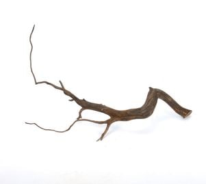 Drift Wood / ɥեȥåɡ ֥å / S / NB2508-37  [ ѥꥦࡢꥦΥ쥤Ȥ˺Ŭή ]