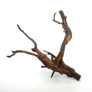流木の販売、通販 ZERO PLANTS