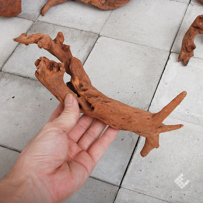 Drift Wood / �ɥ�եȥ��å� �� �ޥ󥰥����� / S / B������(��) / 3�� �� [ �ѥ���ꥦ�ࡢ�����ꥦ��Υ쥤�����Ȥ˺�Ŭ��ή�� ]