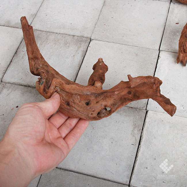 Drift Wood / �ɥ�եȥ��å� �� �ޥ󥰥����� / S / B������(��) / 3�� �� [ �ѥ���ꥦ�ࡢ�����ꥦ��Υ쥤�����Ȥ˺�Ŭ��ή�� ]