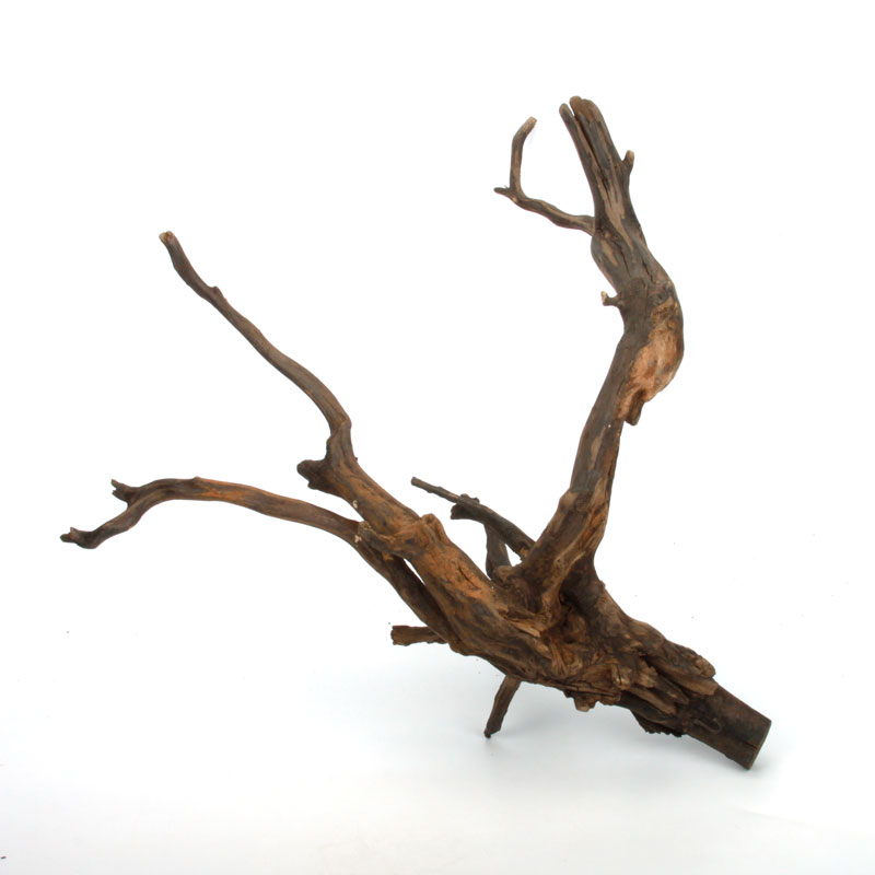 Drift Wood / �ɥ�եȥ��åɡ��� �֥�å� / L / NB2508-45 �� [ �ѥ���ꥦ�ࡢ�����ꥦ��Υ쥤�����Ȥ˺�Ŭ��ή�� ]