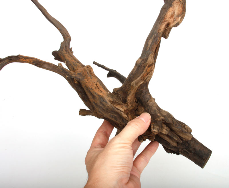 Drift Wood / �ɥ�եȥ��åɡ��� �֥�å� / L / NB2508-45 �� [ �ѥ���ꥦ�ࡢ�����ꥦ��Υ쥤�����Ȥ˺�Ŭ��ή�� ]