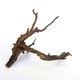 Drift Wood / �ɥ�եȥ��åɡ��� �֥�å� / L / NB2508-45 �� [ �ѥ���ꥦ�ࡢ�����ꥦ��Υ쥤�����Ȥ˺�Ŭ��ή�� ]