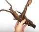 Drift Wood / �ɥ�եȥ��åɡ��� �֥�å� / L / NB2508-45 �� [ �ѥ���ꥦ�ࡢ�����ꥦ��Υ쥤�����Ȥ˺�Ŭ��ή�� ]