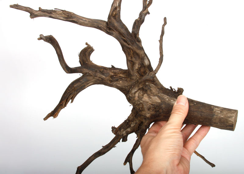 Drift Wood / �ɥ�եȥ��åɡ��� �֥�å� / L / NB2508-48 �� [ �ѥ���ꥦ�ࡢ�����ꥦ��Υ쥤�����Ȥ˺�Ŭ��ή�� ]
