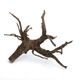 Drift Wood / �ɥ�եȥ��åɡ��� �֥�å� / L / NB2508-48 �� [ �ѥ���ꥦ�ࡢ�����ꥦ��Υ쥤�����Ȥ˺�Ŭ��ή�� ]