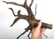 Drift Wood / �ɥ�եȥ��åɡ��� �֥�å� / L / NB2508-48 �� [ �ѥ���ꥦ�ࡢ�����ꥦ��Υ쥤�����Ȥ˺�Ŭ��ή�� ]