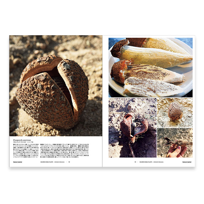 BIZARRE EDIBLE PLANTS -Unknown Delicacies- / JOSEPH SIMCOX, IRINA STOENESCU, YU ONOCHI