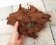 UWS Material Market / Sulawesi Wood���� ���饦�������å� / ����ή�� �� �� SW2303-39 ��