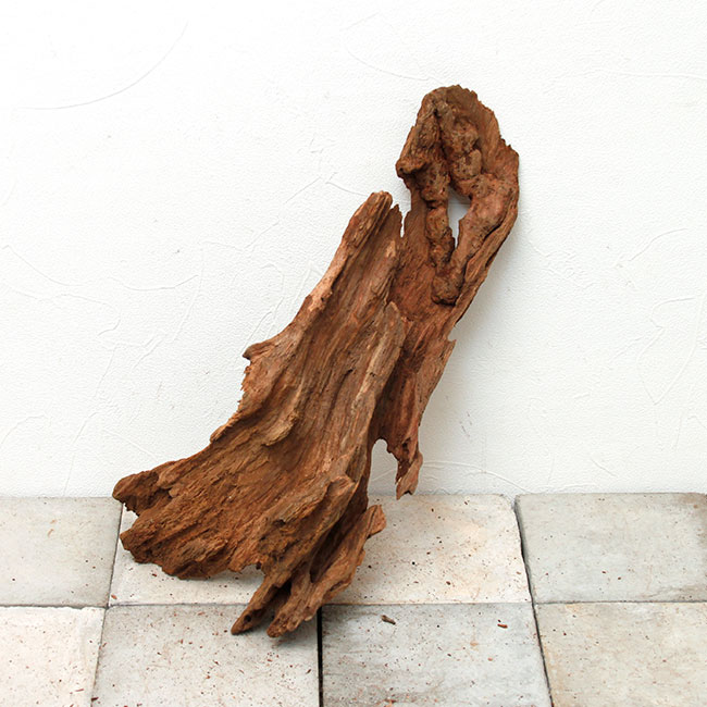 UWS Material Market / Sulawesi Wood���� ���饦�������å� / ����ή�� �� �� SW2303-48 ��