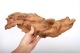 UWS Material Market / Sulawesi Wood���� ���饦�������å� / ����ή�� �� �� SW2408-33 ��