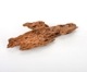 UWS Material Market / Sulawesi Wood���� ���饦�������å� / ����ή�� �� �� SW2408-35 ��