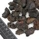UWS Material Market / SAMURAI LAVA ROCK [ GRAVEL ]���� ����饤����Х��å� / ����٥� / Ķ¿�����ϴ��� �� L������ 600ml